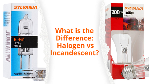 What is the Difference: Halogen vs Incandescent?