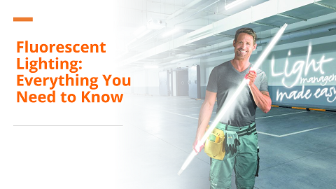 Fluorescent Lighting: Everything You Need to Know