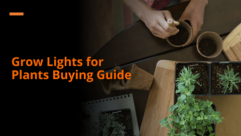 Grow Lights for Plants Buying Guide