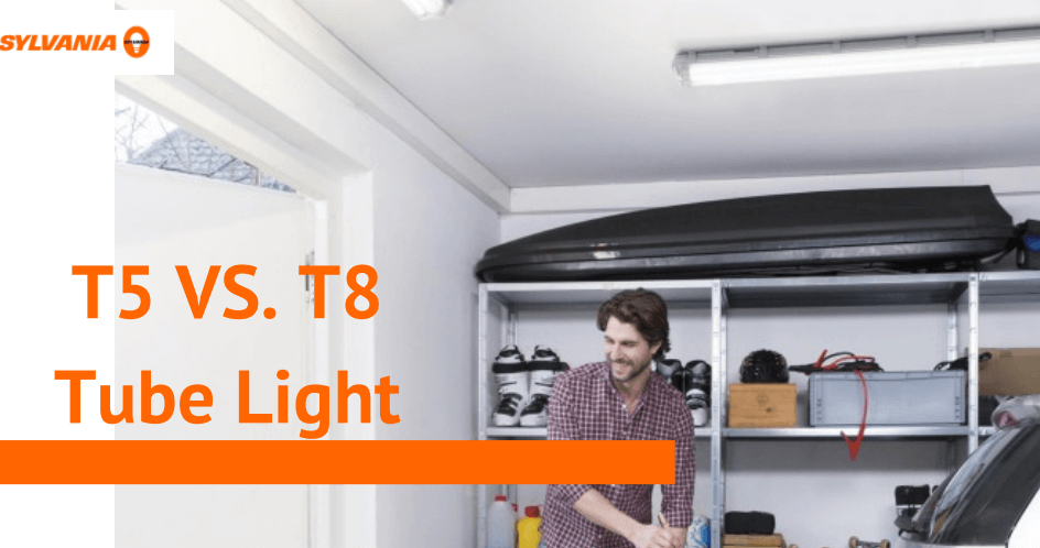 T5 vs. T8 – What’s the Difference?