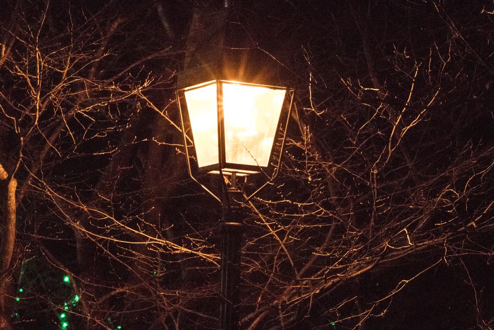 warm color temperature lamp