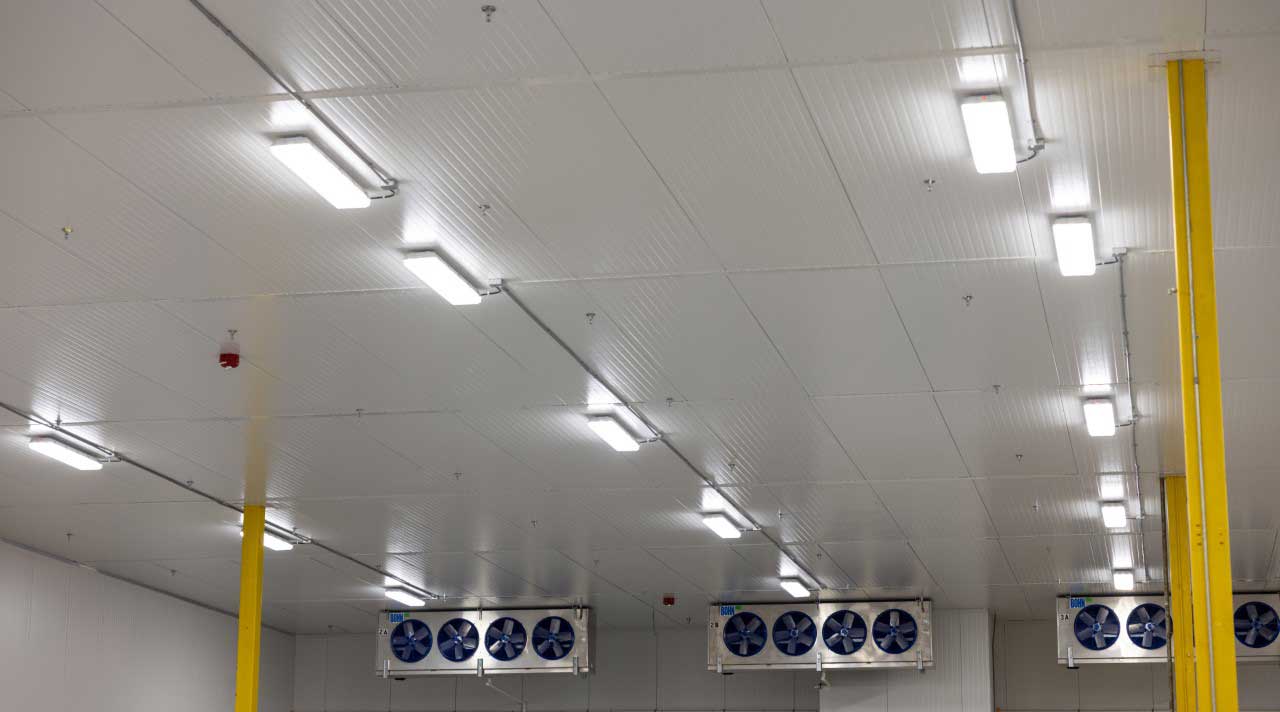 ultraled dual selectable lighting in K&M floral cooling space
