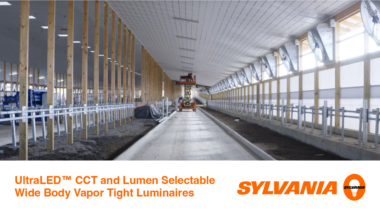 Installing new SYLVANIA LED luminaires at Lamb Farms