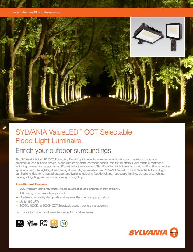 CCT Selectable Flyer