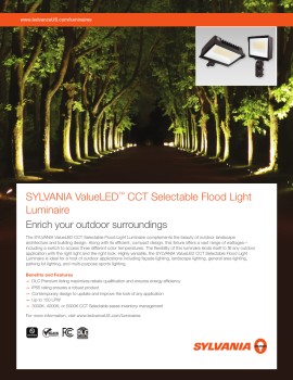 ValueLED™ CCT Selectable Flood Light 